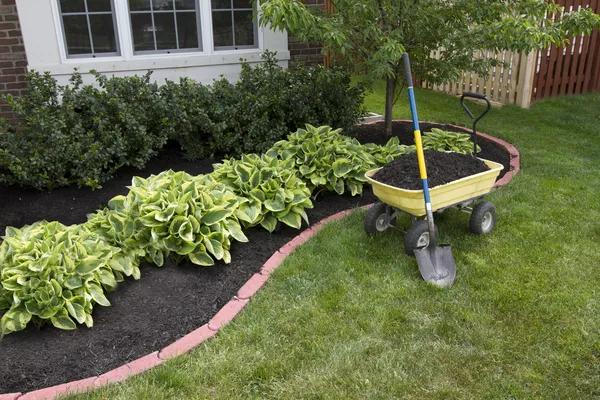 Exploring the World of Rubberized Mulch: Is It Right for Your Garden?